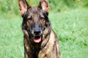 10986961_869951839741541_84669237488267018_o