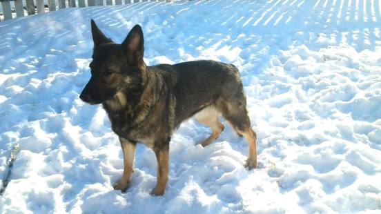 1002327_10201113158061997_1439821223_n