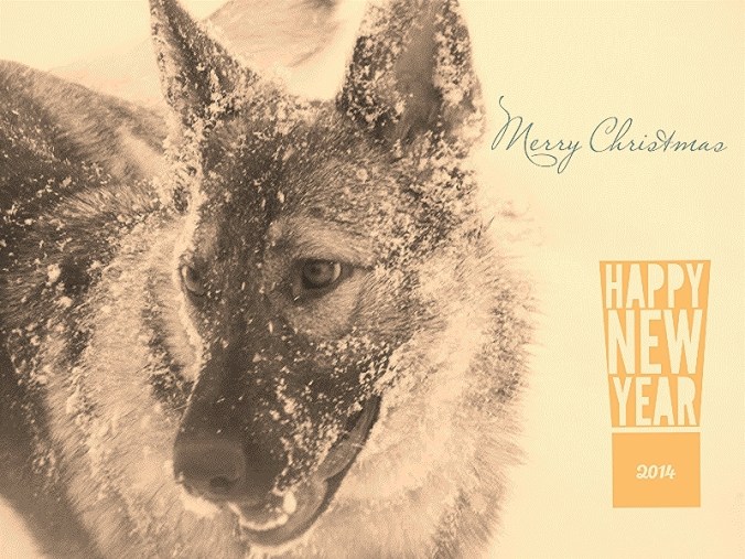 3a93079e-96e2-4373-99bf-162b66665da2