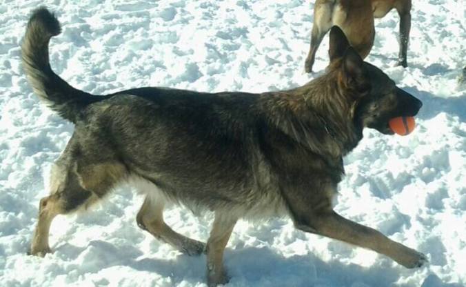 1622011_10201215394177836_1518311222_n