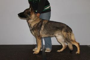 11050678_10155423565460607_4366916213183800374_n