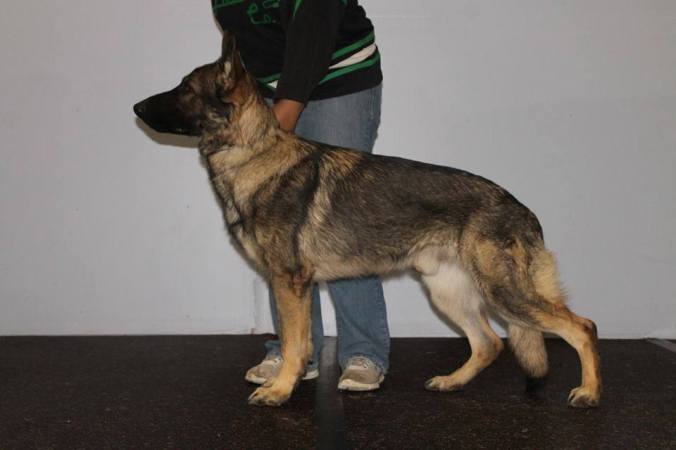 11081282_805930259477033_7736845781222525011_n