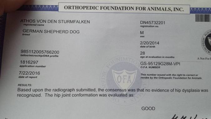 13781820_1081006261969430_1617783639868294645_n