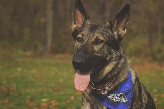 14992019_1518368351511858_2456670046342717638_n