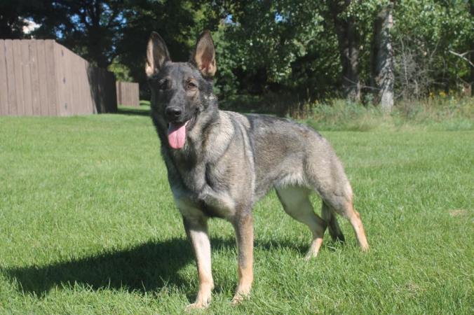 14502687_10153731561491432_951073265268197422_n