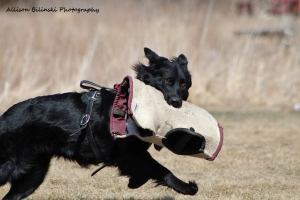 30531190_200872137356904_5524124364521574468_n