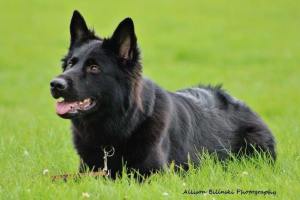 38612189_2162618143967173_940643407427010560_n