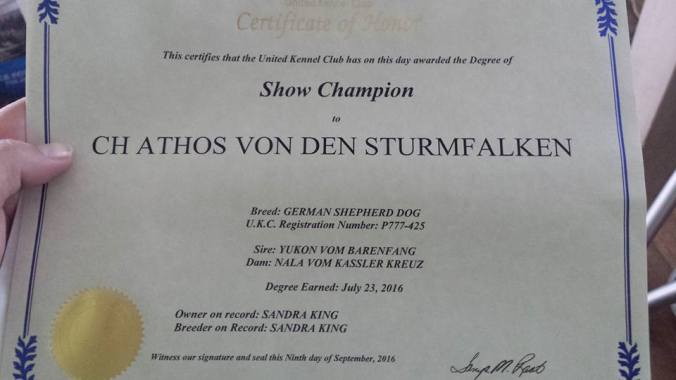 14368726_10206637737013018_7493058972477614106_n