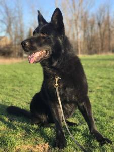 19265155_10154423041226432_171851604_n