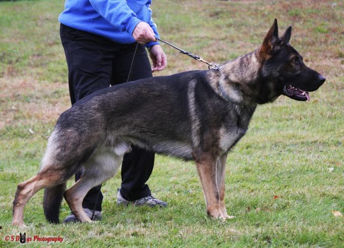 44504939_10155853949071659_3414429142676930560_n